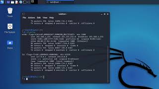 How to check IP address in Kali Linux [upl. by Leshia901]