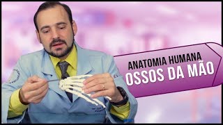 Anatomia Humana OSSOS da MÃO PRÁTICA [upl. by Pega]