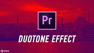 Duotone Effect Adobe Premiere Pro tutorial  Chung Dha [upl. by D'Arcy]