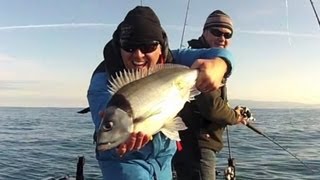 Wainui Coast Wellington  Winter Tarakihi Fishing [upl. by Hgiel]