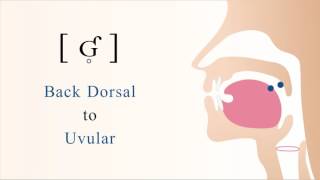 ʛ̥  ʠ  unvoiced dorsal uvular implosive stop [upl. by Ewart]