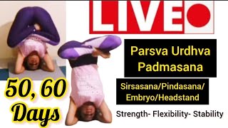 LiveSession5960Parsva Urdhva Padmasana SirsasanaPindasanaEmbryoHeadstandFlexibility Hathayoga [upl. by Aneek]