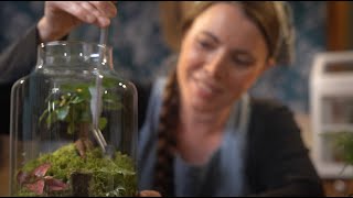 Making a Whimsical Terrarium  ASMR cozy basics soft spoken [upl. by Ynot]