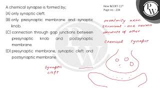 A chemical synapse is formed by [upl. by Omlesna789]