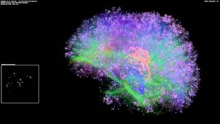 Artificial Brain Simulation  Thalamocortical System 8 Million Neurons  14 Billion Synapses [upl. by Georgeanna632]