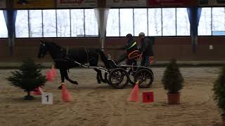 Fahrturnier Heiden Sicon Cup 712024 [upl. by Leima]