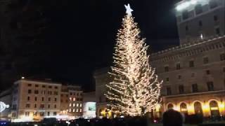 Roma accensione albero di Natale in Piazza Venezia [upl. by Anitsenre]