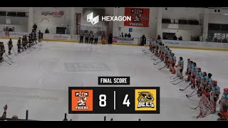 Hexagon Telford Tigers Vs Bees Ice Hockey Club [upl. by Gauthier]