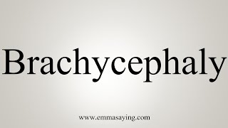 How To Say Brachycephaly [upl. by Bisset]