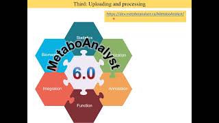 Tutorial Metaboanalyst R [upl. by Tabor]