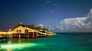 Ozen Reserve Bolifushi Maldives 4K [upl. by Grof]