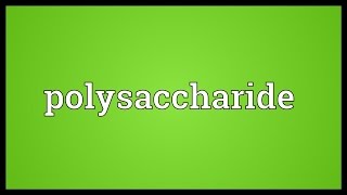 Polysaccharide Meaning [upl. by Atteragram111]