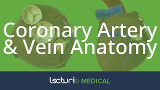 Coronary Artery amp Vein Anatomy  Cardiac Anatomy [upl. by Odnolor]