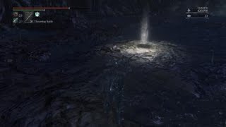 Ebrietas cheese position at 0m 48s Bloodborne [upl. by Ogdan106]