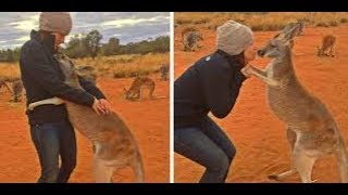 Rescued Kangaroo Hugs Her Rescuers Every Day [upl. by Aisha]