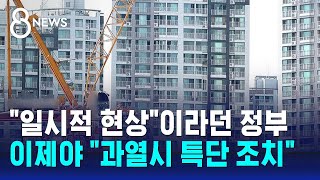 정부 quot과열시 특단 조치quot…다음달 공급 대책 발표  SBS 8뉴스 [upl. by Notgnilra]