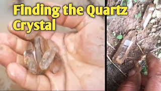 Searching Quartz Crystals  how to find Quartz Crystals  Quartz Crystals In Clay [upl. by Erle]