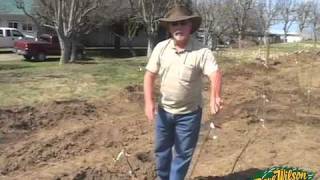 Backyard Orchard Demo  planting [upl. by Shulins]