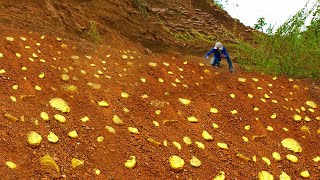 OMG Lucky Lucky Day Mining Gold  Finding and digging gold [upl. by Mcarthur]