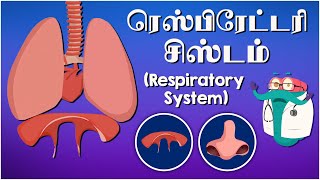 ரெஸ்பிரேட்டரி சிஸ்டம்  The Respiratory System  Dr Binocs Tamil  Kids Educational Video in Tamil [upl. by Anavoj110]