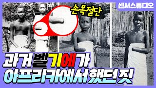 과거 벨기에가 콩고에서 자행했던 역사센서 스튜디오 [upl. by Gentille]