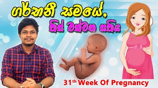 Pregnancy 31st Week  Sinhala Medical Review  අම්මයි බබයි [upl. by Ihc]