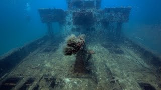 Southwest Florida Mohawk ship reef underwater update [upl. by Odin]