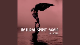 Natural Spirit Again Rework [upl. by Atteynek]