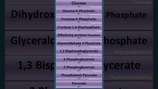 Glycolysis in 50 Seconds  shorts glycolysis cellularrespiration biology neet ncert cbse [upl. by Ileak]