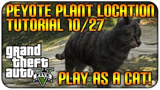 GTA 5 XB1PS4 NEW quotPEYOTE PLANT EASTER EGGquot TURN INTO A CAT LOCATION 1027 GTA 5 TUTORIAL [upl. by Jonna808]