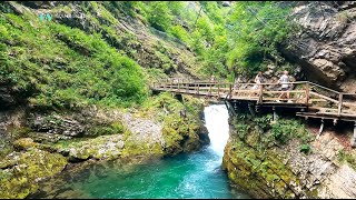 4K Day 5 Vintgar Gorge  Slovenia  Alps road trip [upl. by Seuguh]