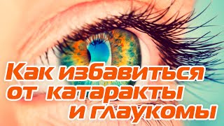 Как полностью и без операций избавиться от катаракты и глаукомы профессор медицины Владимир Купеев [upl. by Aneala]