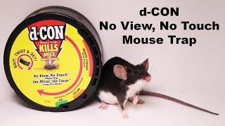 dCON No View No Touch covered mouse trap Mousetrap Monday [upl. by Ecinaej]