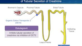 Dolutegravir Pros and Cons Are There Any Cons [upl. by Eonak]