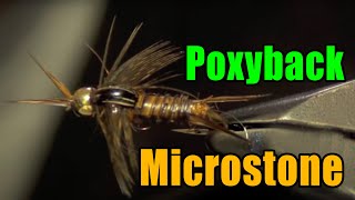 Poxyback Microstone Stonefly Nymph Fly Tying  Mike Mercer Fly Pattern [upl. by Alroy]