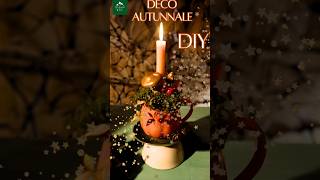 Deco Autunnale idea facile e veloce 🍂 Autunno Deco Diy shortsvideo faidate [upl. by Ineslta]