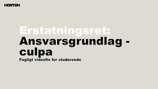 Erstatningsret Ansvarsgrundlag  Culpa [upl. by Anailli]