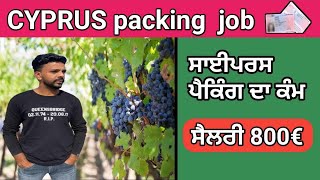 Cyprus visaCyprus food packing jobCyprus work visa packing job [upl. by Atekihc404]