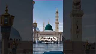 Zoheb Ashrafi New Naat Status  New Naat WhatsApp Status 2024  Naat Status  shorts viralvideo [upl. by Llerraj3]