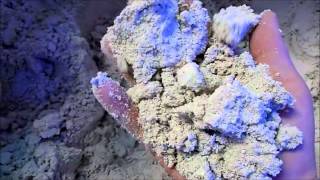 Live Aragonite Reef Sand or Bulk Dry Aragonite Reef Sand Bahamas [upl. by Ojiram]