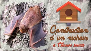 Fabriquer un nichoir pour la chauve souris en 10 min permaculture [upl. by Kera]