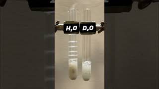 Calcium Carbide reacts with water intrestingstarprimesciencefactsshorts [upl. by Gillmore]