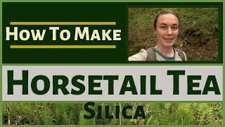 HOW TO MAKE HORSETAIL TEA  Silica rich herb good for hair skin nails joints bones collagen [upl. by Hserus910]