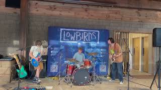 Santeria  Low Birds Live at Little Arrow Outdoor Resort May 2023 [upl. by Bartholomeus]