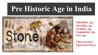 PLSHistory L01Paleolithic Age Mesolithic Age Neolithic Age Chalcolithic Age Iron Age [upl. by Oirobil134]