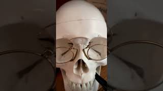 Of Skulls and Golden PinceNez skull antiques frenchmusic music classicalmusic oddities [upl. by Branden882]