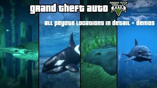 gta 5 all peyote plant detailed locations and demo of each animals features and abilities [upl. by Akinak]