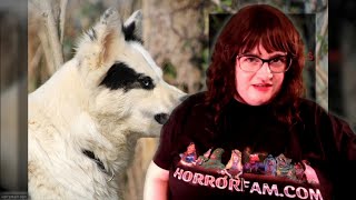 13 Dog Horror Movies to Get You Through the Dog Days of Summer [upl. by Ttelracs]