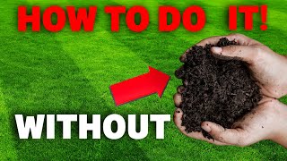 Why Youve Been Overseeding Your Lawn All Wrong [upl. by Lerad]