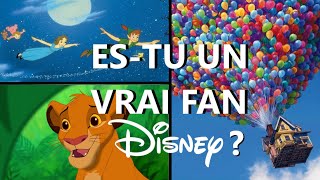 ESTU UN VRAI FAN DISNEY [upl. by Aicilehp]